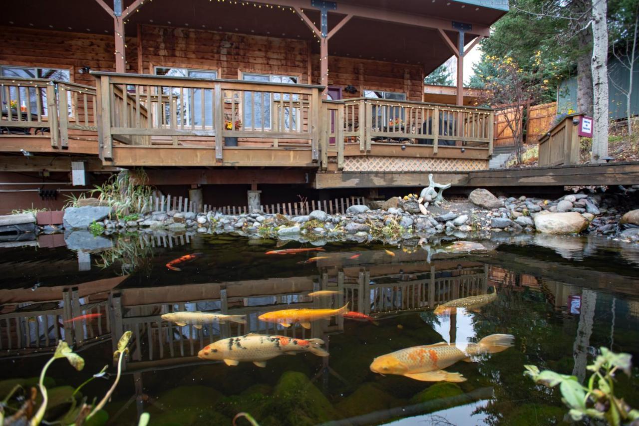 Bear Creek Winery And Lodging Bed & Breakfast Homer Bagian luar foto