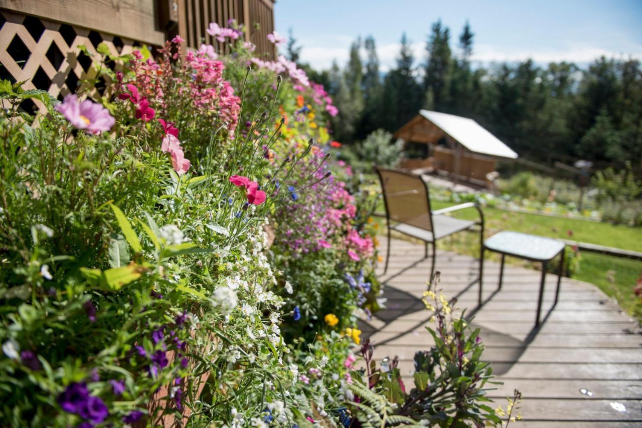 Bear Creek Winery And Lodging Bed & Breakfast Homer Bagian luar foto